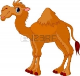 http://us.123rf.com/400wm/400/400/dazdraperma/dazdraperma1010/dazdraperma101000040/8008625-illustration-of-cute-funny-camel.jpg